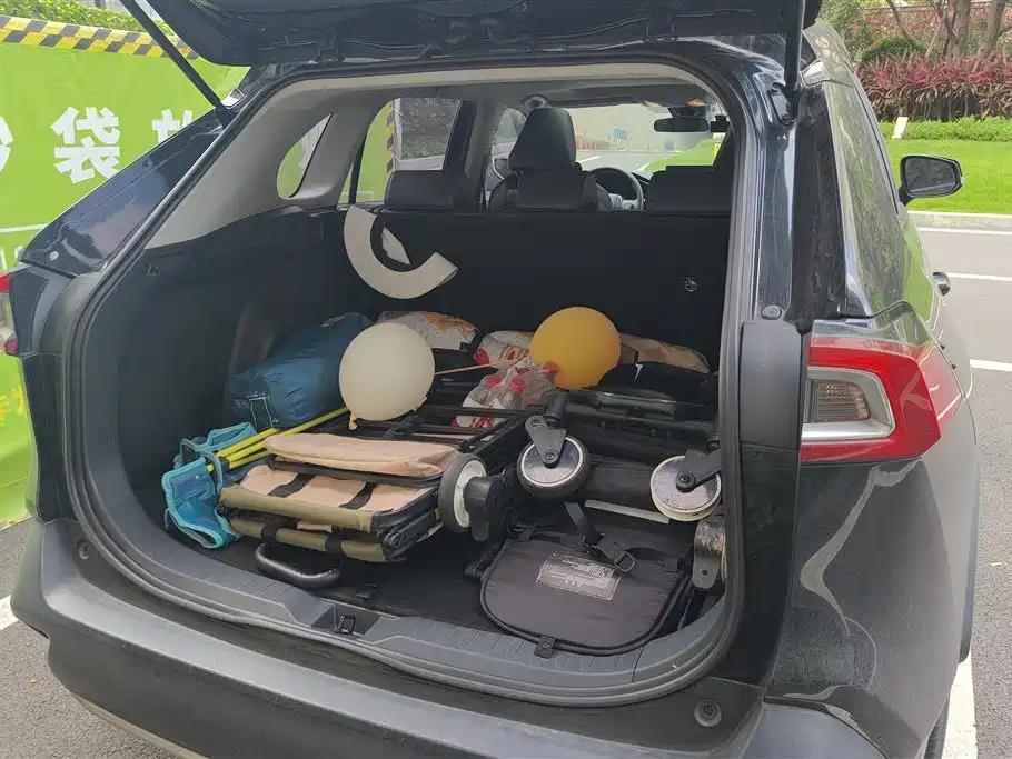 TOYOTA WILDLANDER 2020