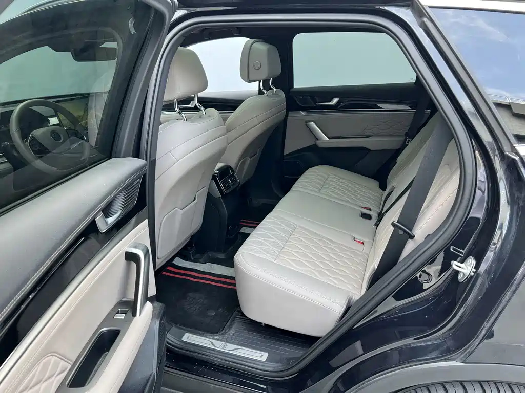 BYD TANG NEW ENERGY 2024