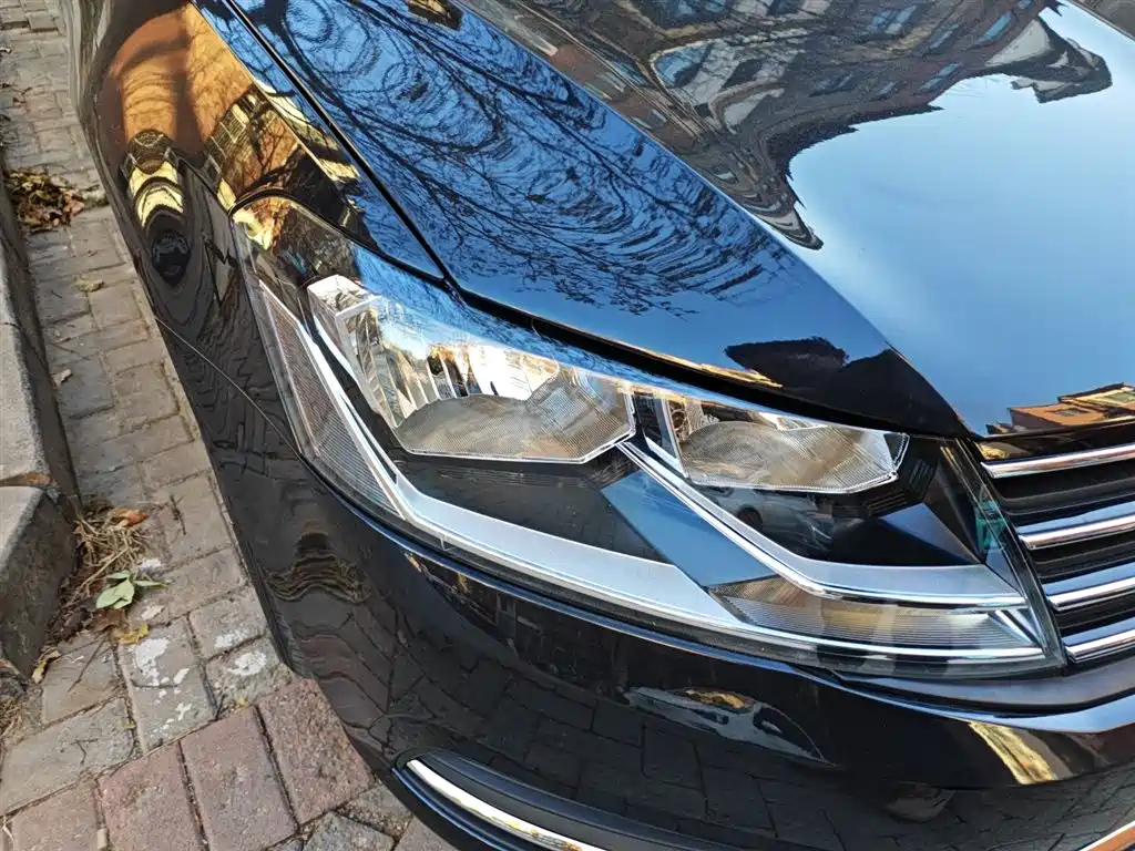 VOLKSWAGEN LAVIDA 2018