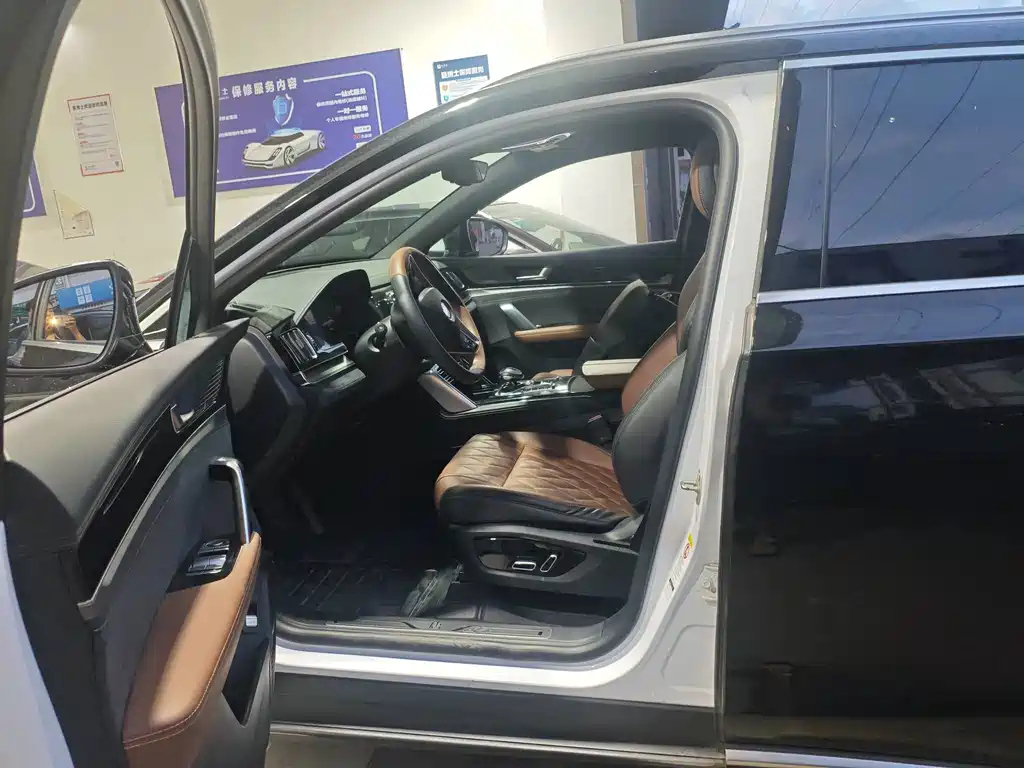 BYD TANG NEW ENERGY 2021