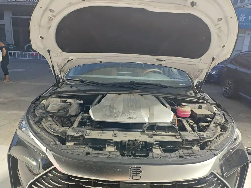 BYD TANG NEW ENERGY 2021