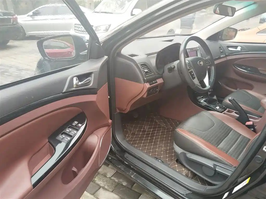BYD OTHER 2015