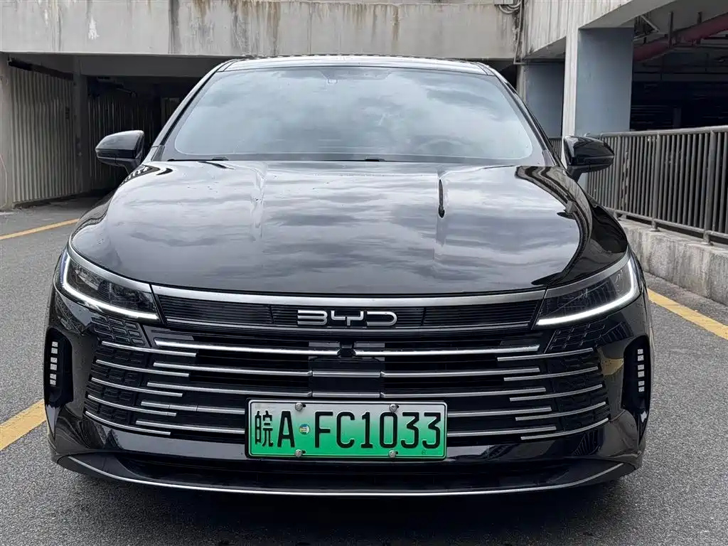 BYD DESTROYER 05 2024