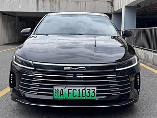 BYD DESTROYER 05 2024