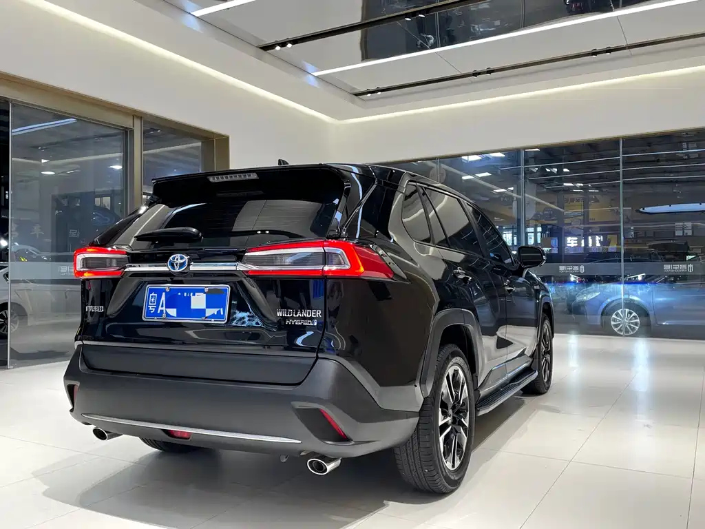 TOYOTA WILDLANDER 2020