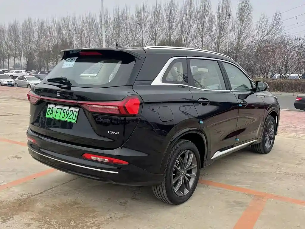 DONGFENG OTHER 2025