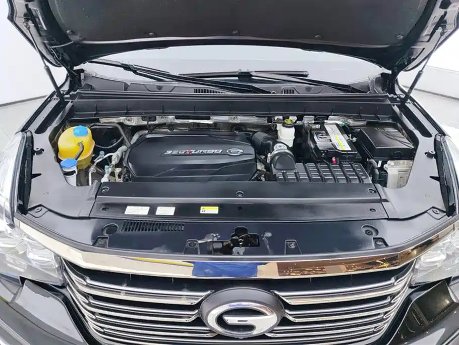 TRUMPCHI GS8 2021