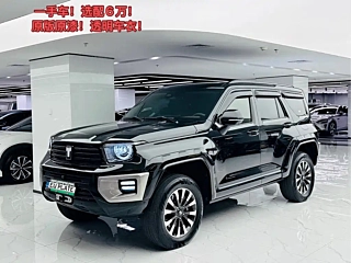 TANK 700 NEW ENERGY  2024 YEAR HI4-T  EDITION 2024