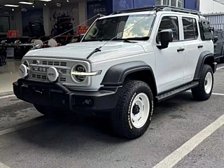 TANK 300 2021 YEAR EDITION 2.0T 2021