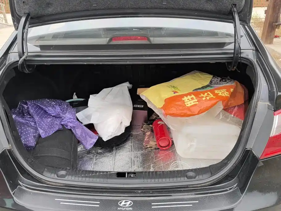HYUNDAI CELESTA 2015