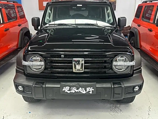 TANK 300  2021