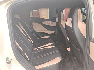 BYD SEAGULL  2025 YEAR 305KM FREEDOM EDITION 2025
