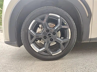 BYD SEAGULL  2025 YEAR 305KM FREEDOM EDITION 2025