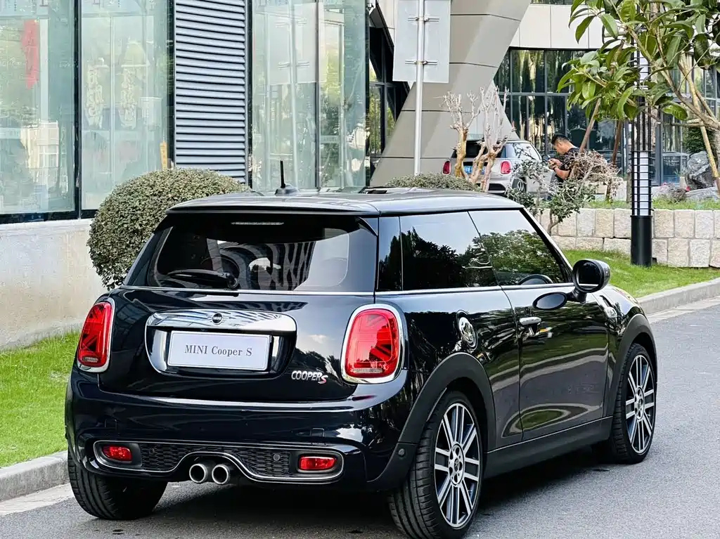 MINI OTHER 2020