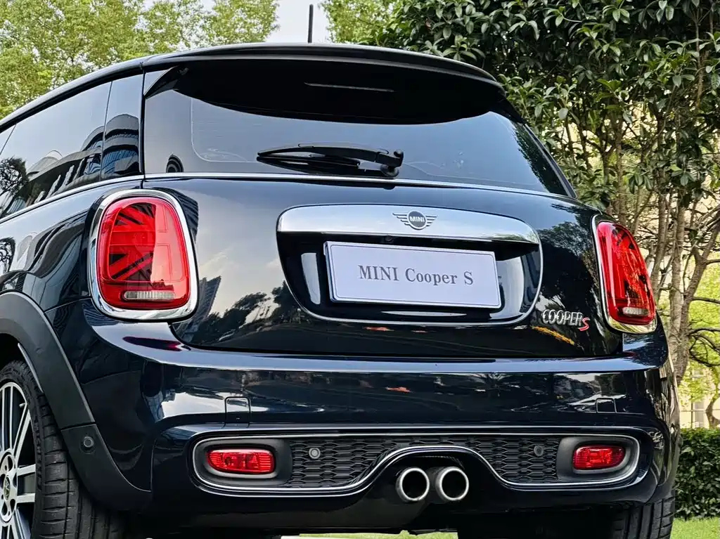 MINI OTHER 2020