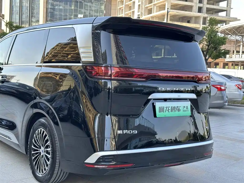 DENZA D9 2024