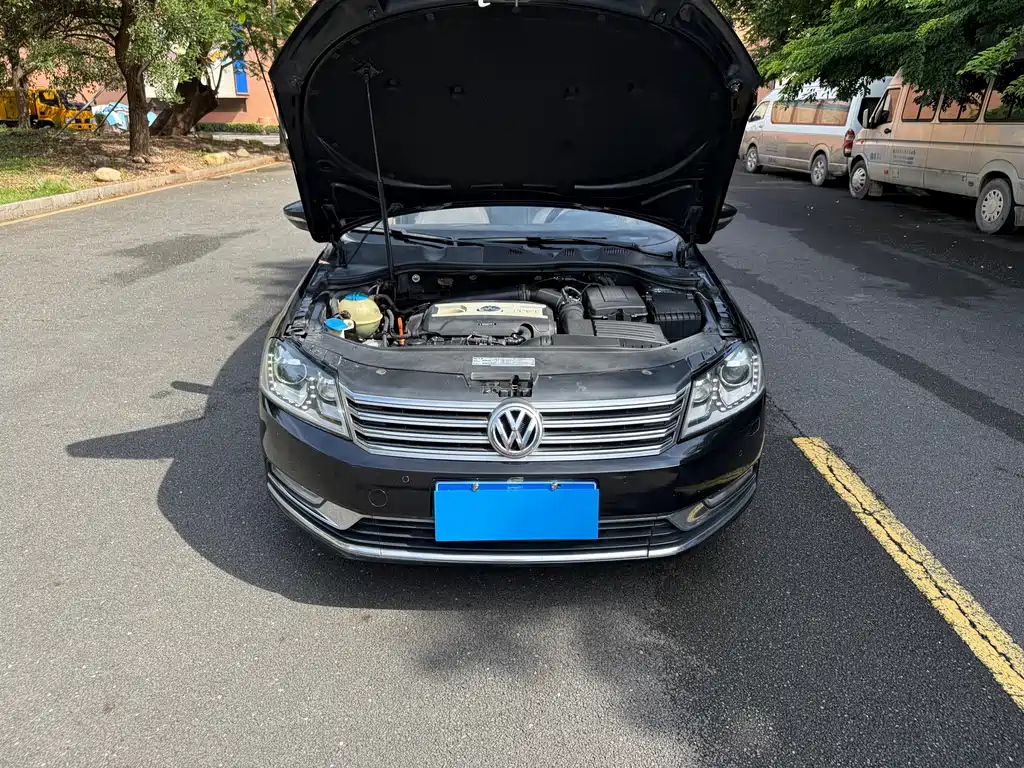 VOLKSWAGEN MAGOTAN 2013