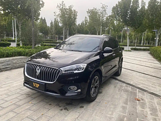 Заказать BORGWARD BX7