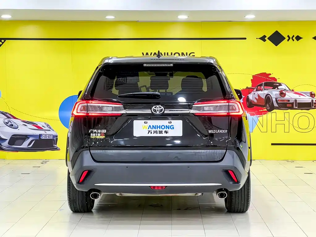 TOYOTA WILDLANDER 2022