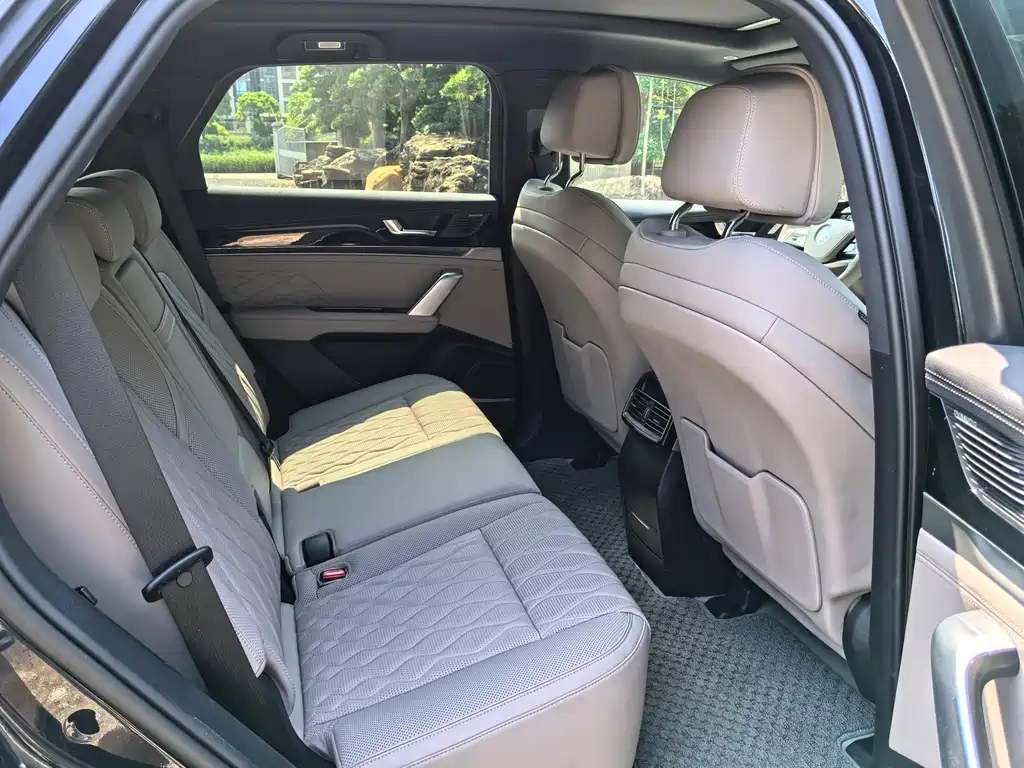 BYD TANG NEW ENERGY 2024