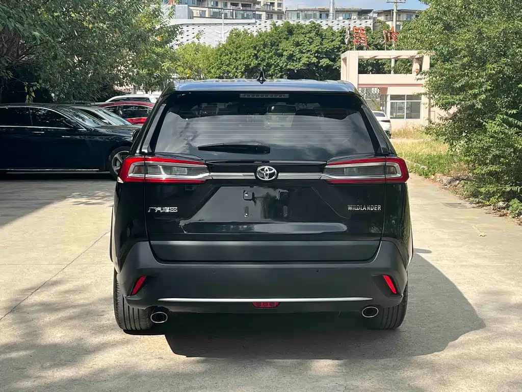 TOYOTA WILDLANDER 2022