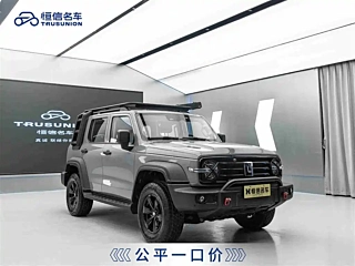 TANK 300 2021 YEAR EDITION 2.0T 2021
