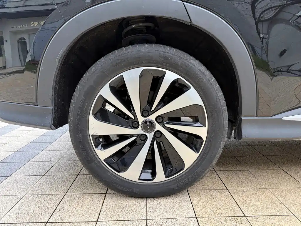 BYD SONG PLUS NEW ENERGY 2024