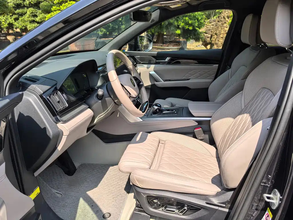 BYD TANG NEW ENERGY 2024