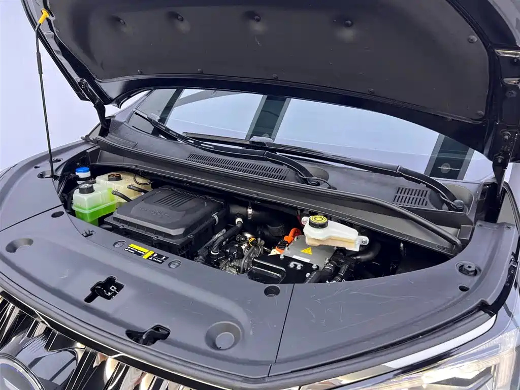 TRUMPCHI E9 2024