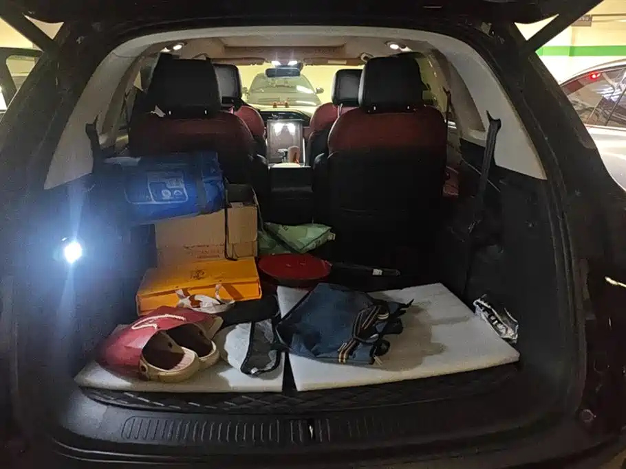 SAIC MAXUS BIG 通D60 2020