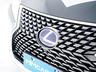 LEXUS RX  2020 YEAR 450H 4WD &#26234;. HYBRID &#29305;&#21035;&#38480;&#37 2020