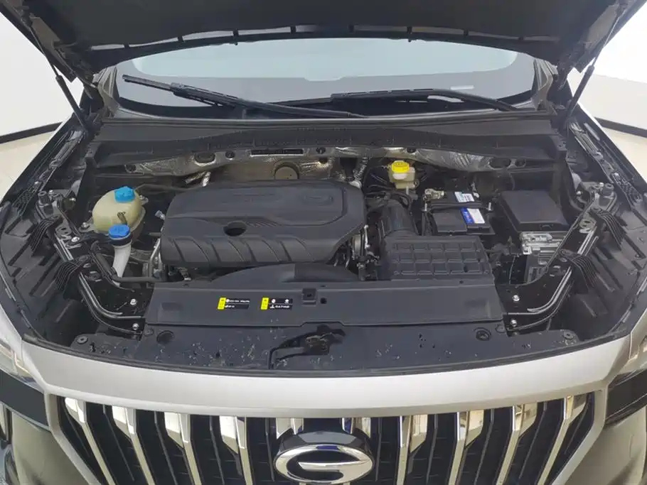 TRUMPCHI GS4 PLUS 2022