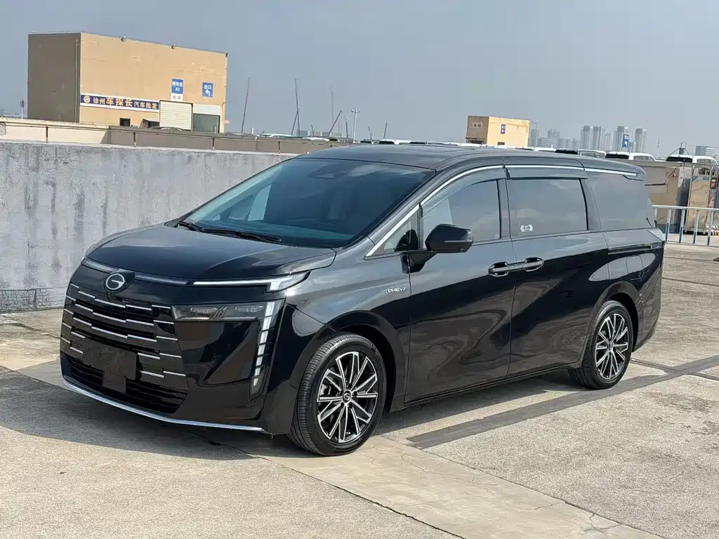 Аукционный лист TRUMPCHI E8 NEW ENERGY 2024