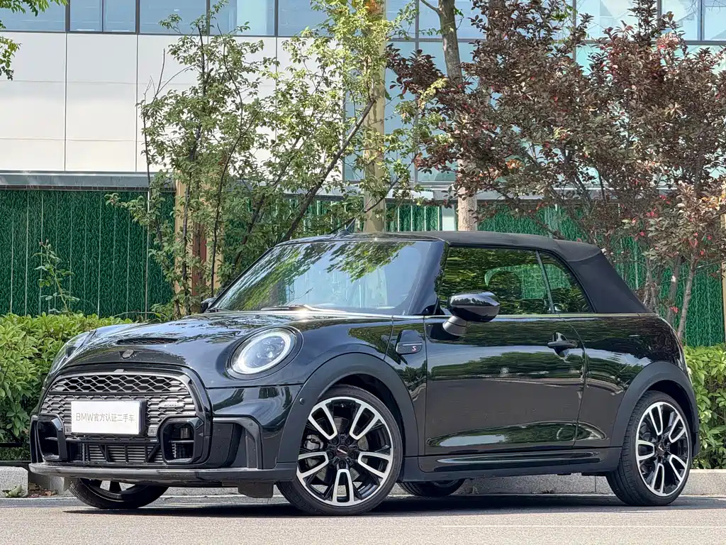 Аукционный лист MINI OTHER 2023