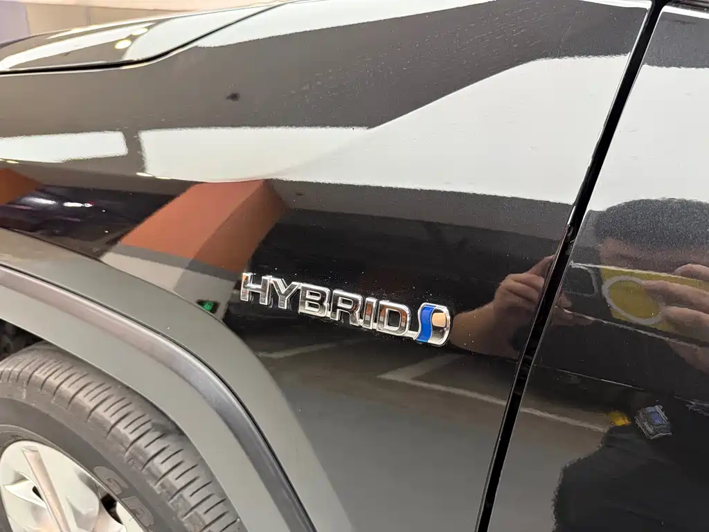 TOYOTA WILDLANDER 2021