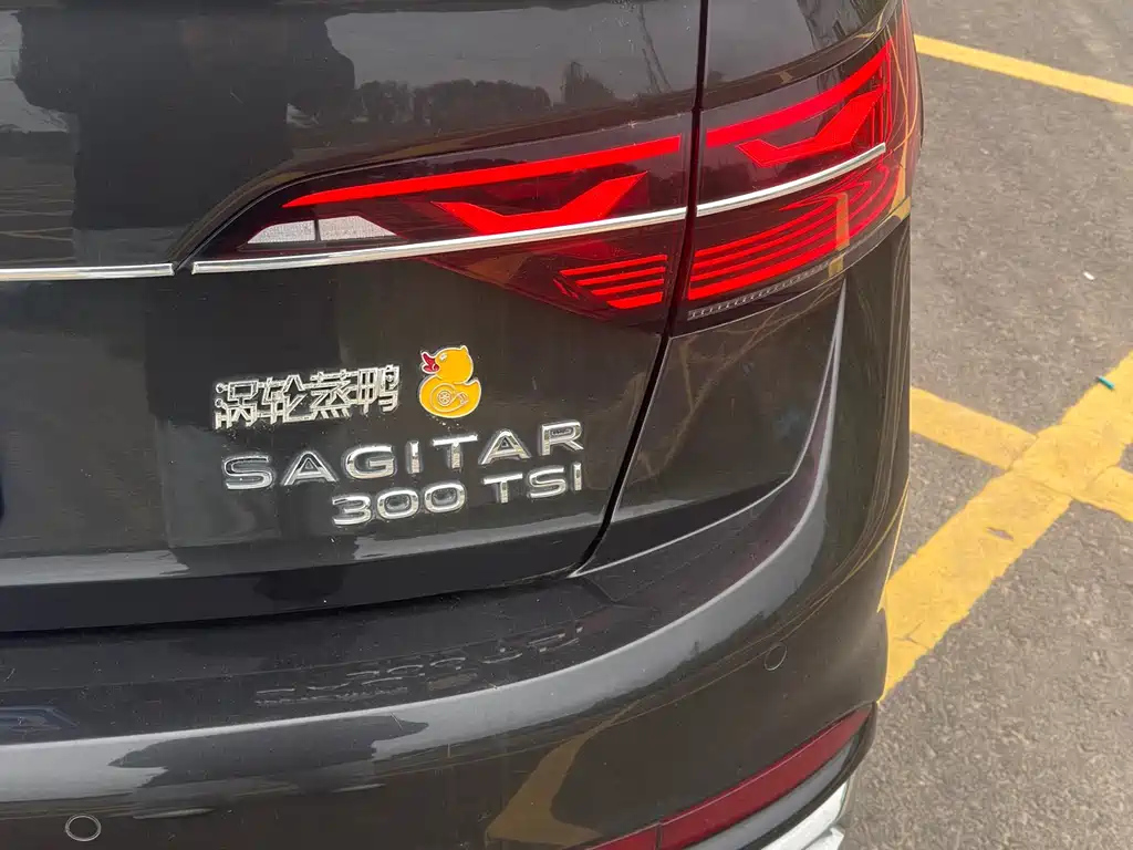 VOLKSWAGEN SAGITAR 2024