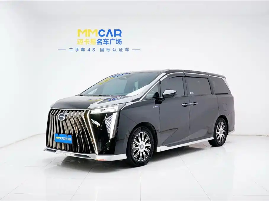 Аукционный лист TRUMPCHI E9 2024