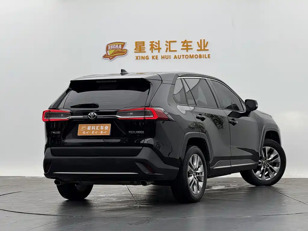 TOYOTA WILDLANDER 2022