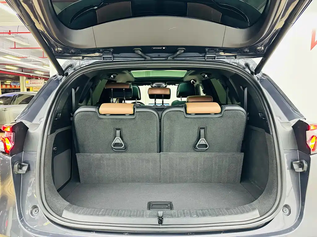 BYD TANG NEW ENERGY 2021