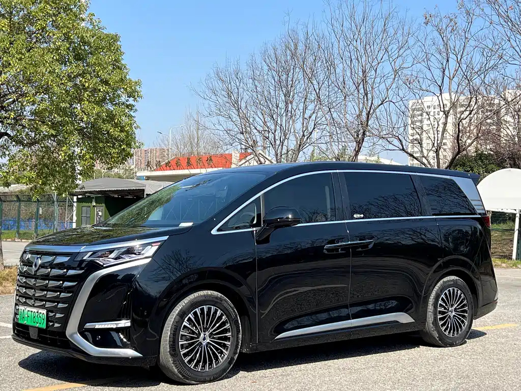 Аукционный лист DENZA D9 2024