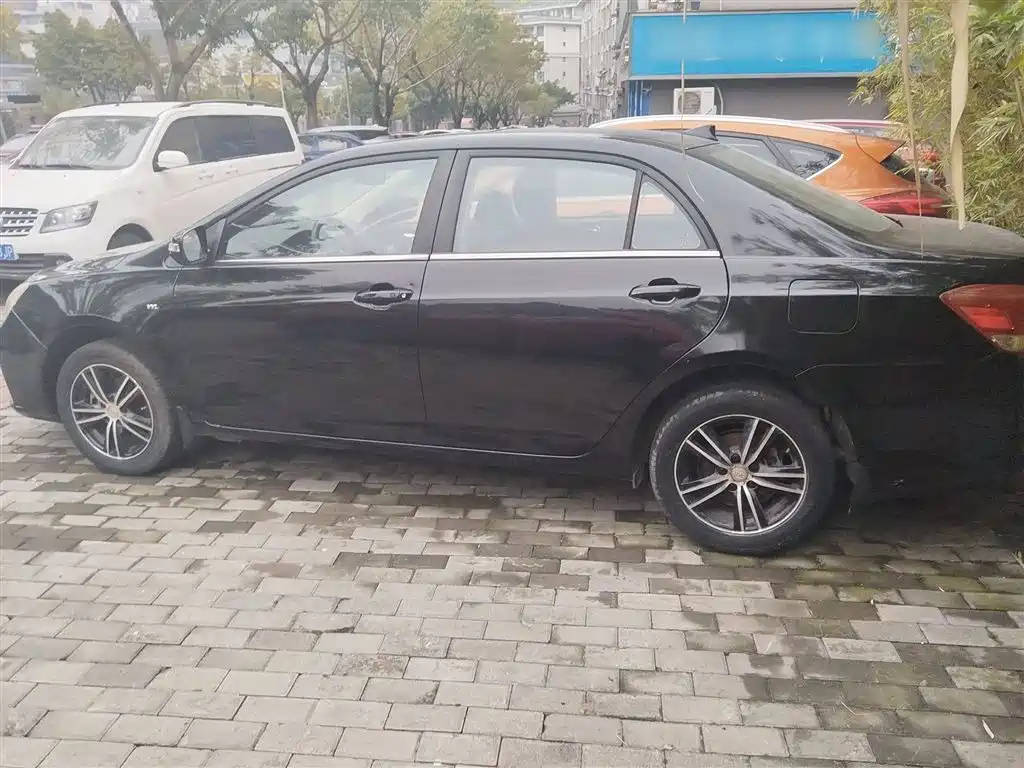 BYD OTHER 2015