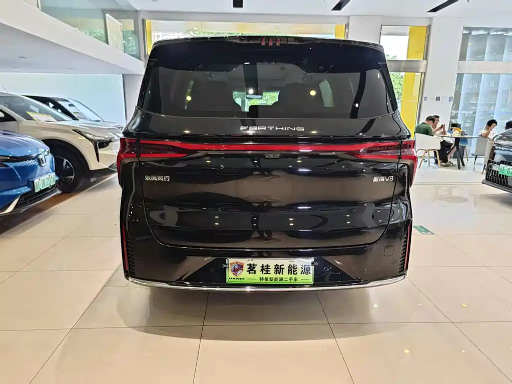 DONGFENG OTHER 2024