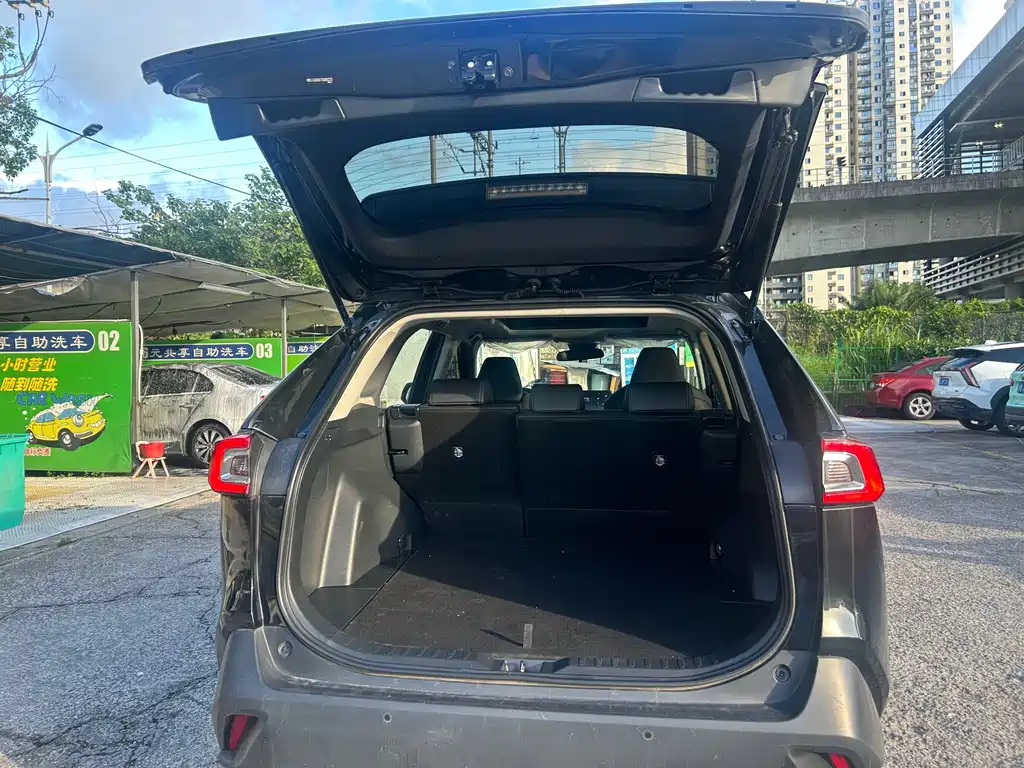 TOYOTA WILDLANDER 2024