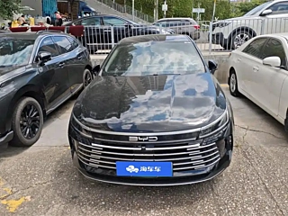 BYD DESTROYER 05 2024
