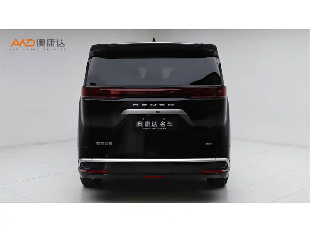 DENZA D9 2024