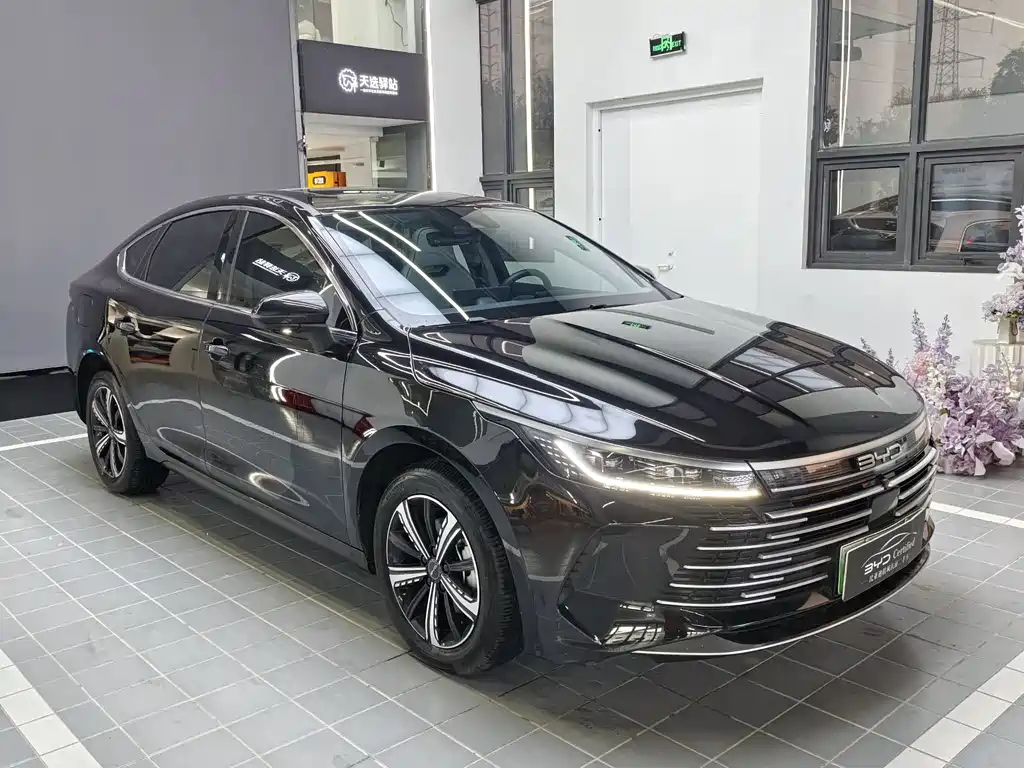 BYD DESTROYER 05 2023