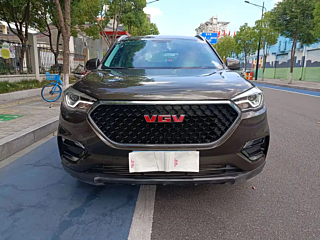 VGV U70 2020