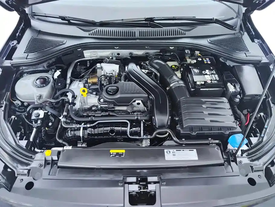 VOLKSWAGEN LAVIDA 2024