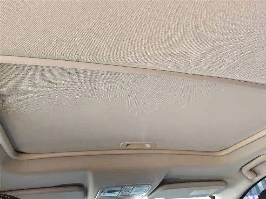 DONGFENG SCENERY 580 2020