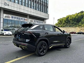 JETOUR BIG &#22307; 2025 YEAR 1.5T DCT EDITION 2025